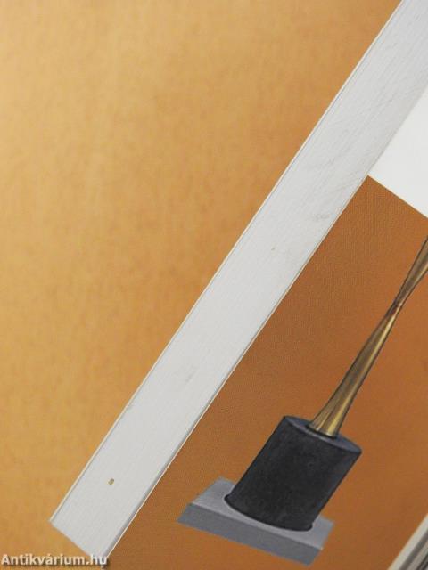 Mítoszok és ellenmítoszok között (dedikált példány)