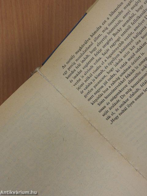 Tom Sawyer kalandjai