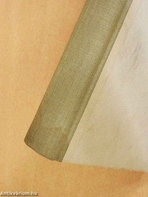 Az írástudó I-II.