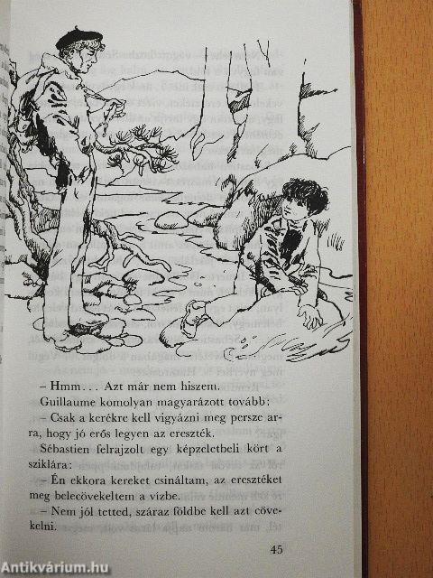 Belle és Sébastien