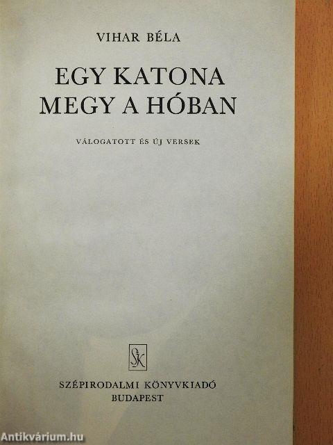 Egy katona megy a hóban