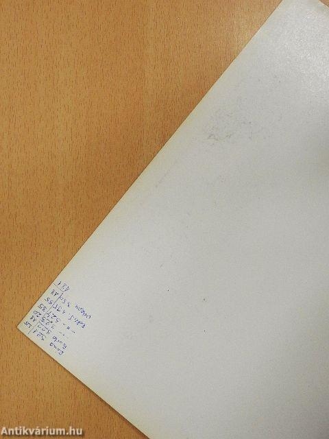 Bizományi Áruház Vállalat 95. Művészeti képaukció