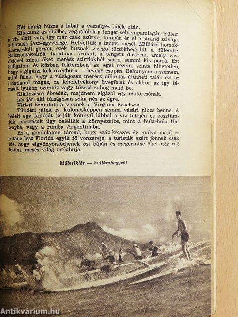 Melbourne-Miami-Margitsziget