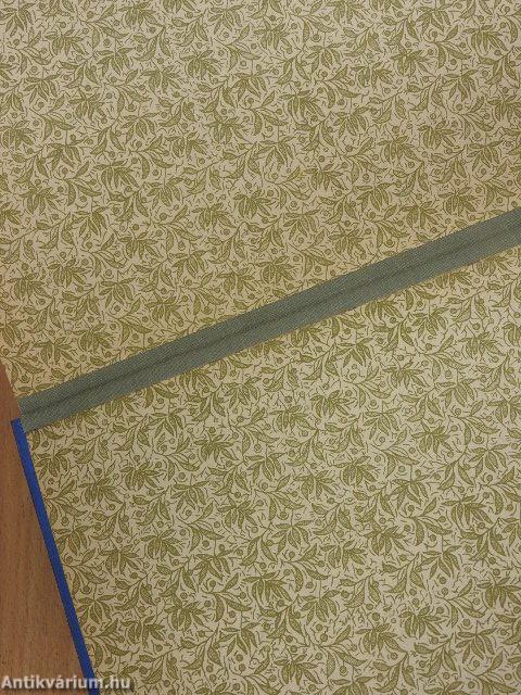 Negyvenezer mérföld vitorlával és gőzzel