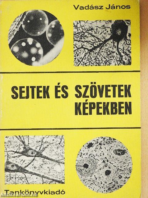 Sejtek és szövetek képekben