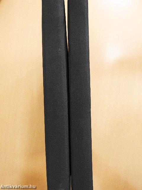 Ady Endre tragédiája I-II.