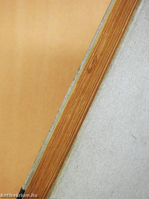 Ady Endre tragédiája I-II.