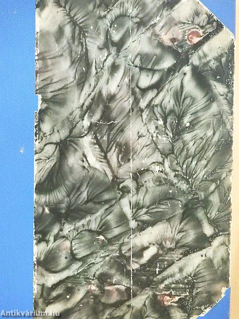 A magyar irodalom története I-II.