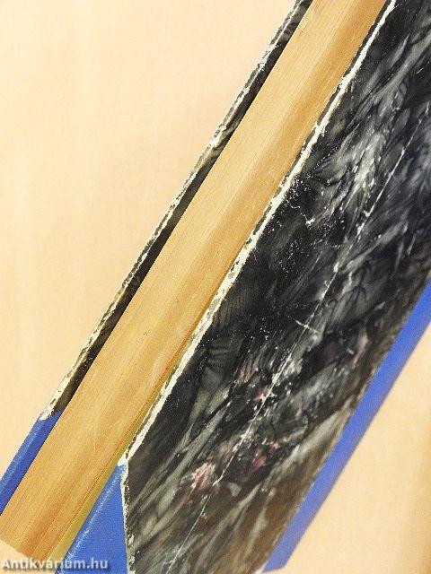 A magyar irodalom története I-II.