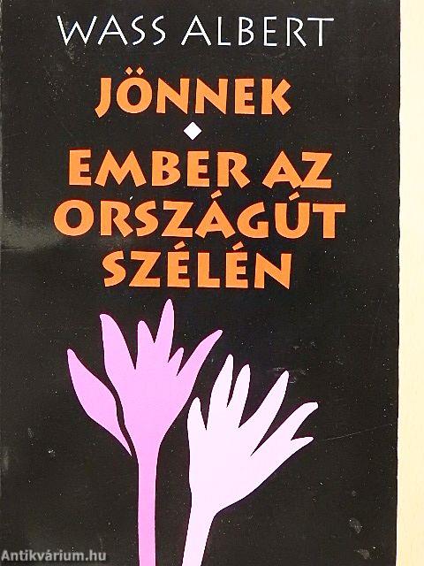 Jönnek/Ember az országút szélén