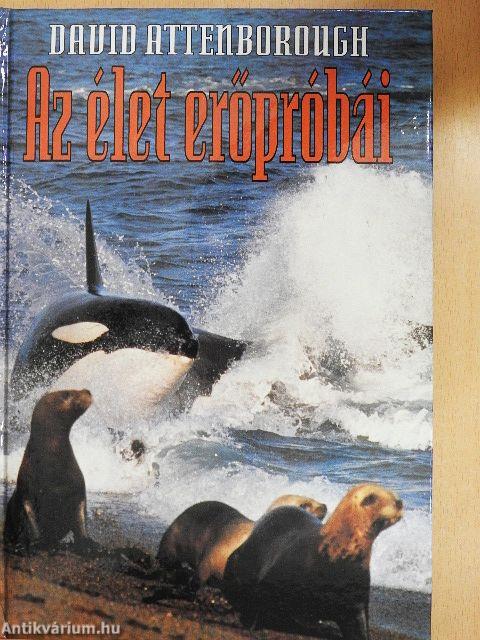 Az élet erőpróbái