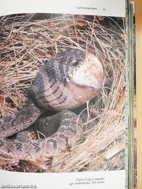 Az élet erőpróbái