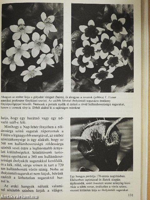 Eleven találmányok