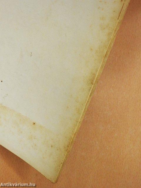 A szegedi árvíz 1879.