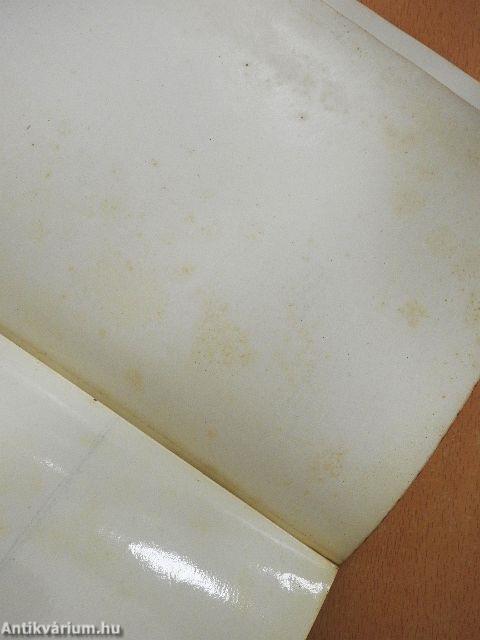 A szegedi árvíz 1879.