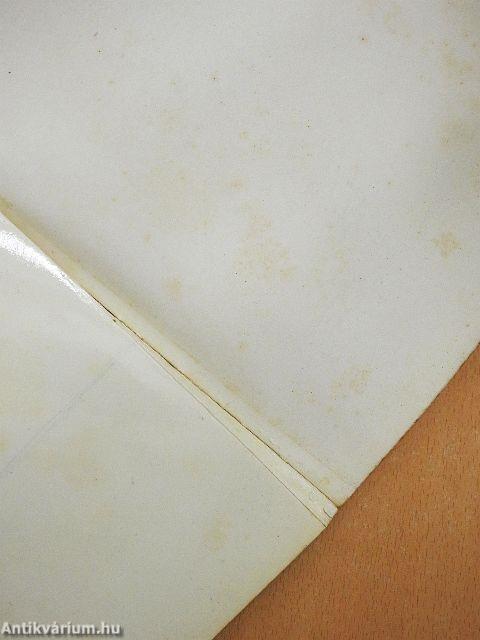 A szegedi árvíz 1879.