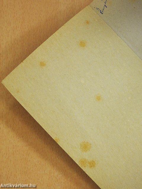 A sebesség megszállottja