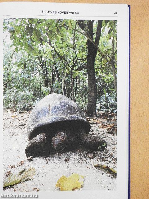 Guinness rekordok könyve 1992.