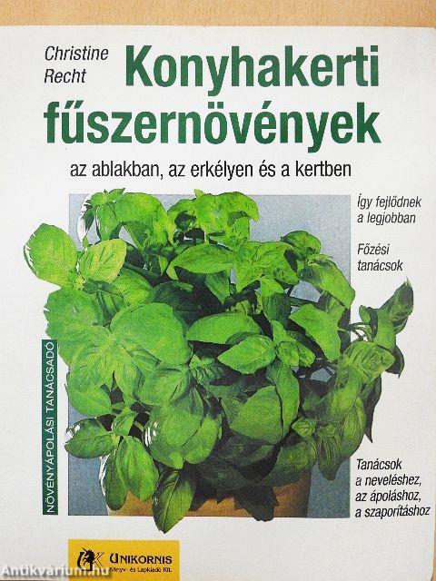 Konyhakerti fűszernövények