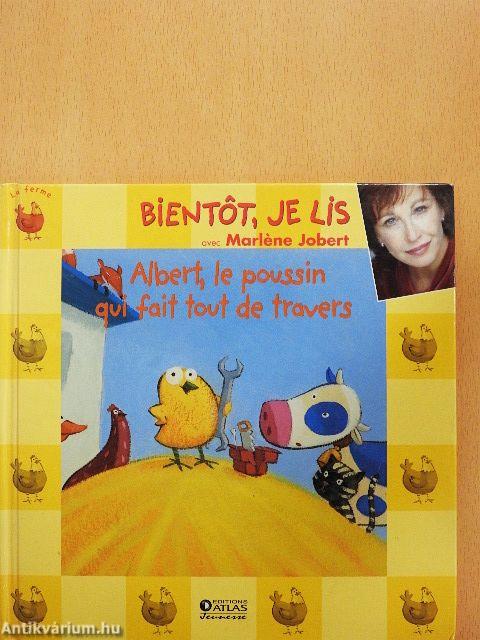 Albert, le poussin qui fait tout de travers