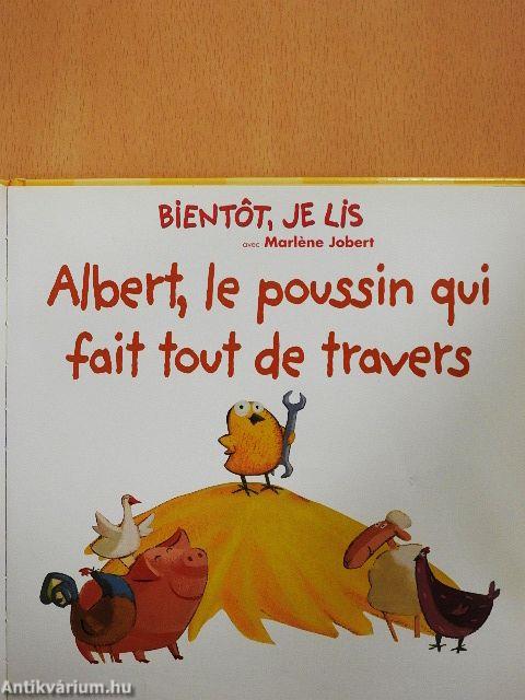 Albert, le poussin qui fait tout de travers