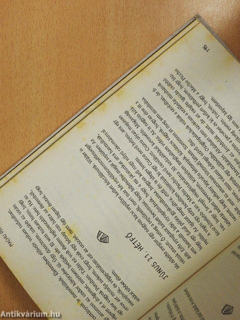 Egy idióta külföldön