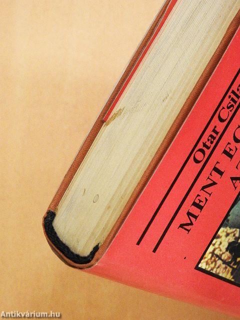 Ment egy ember az úton