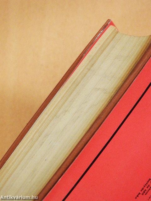 Ment egy ember az úton