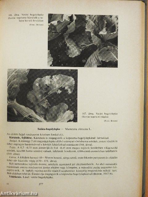 Zöldségfélék növényvédelme