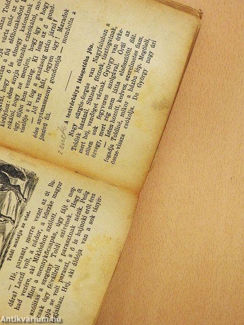 Ezer esztendő története (rossz állapotú)