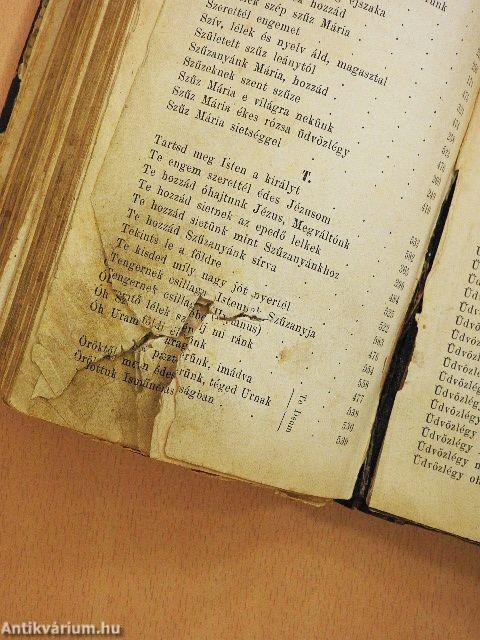 Orgona virágok (rossz állapotú)