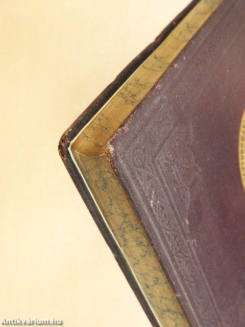 Természettudományi Közlöny 1881. január-december