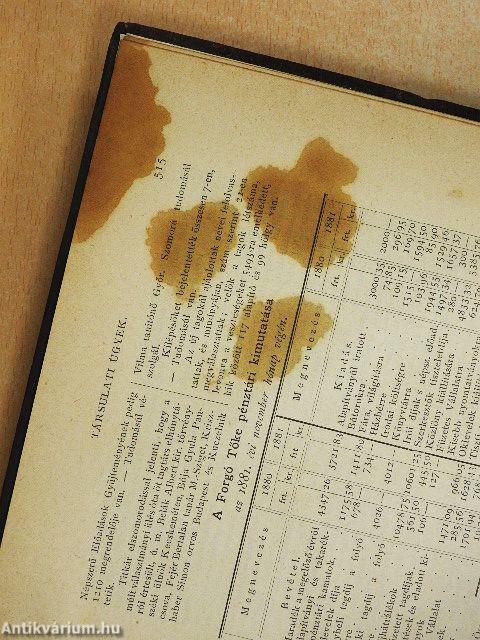 Természettudományi Közlöny 1881. január-december