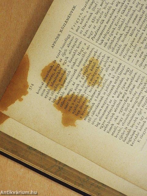 Természettudományi Közlöny 1881. január-december