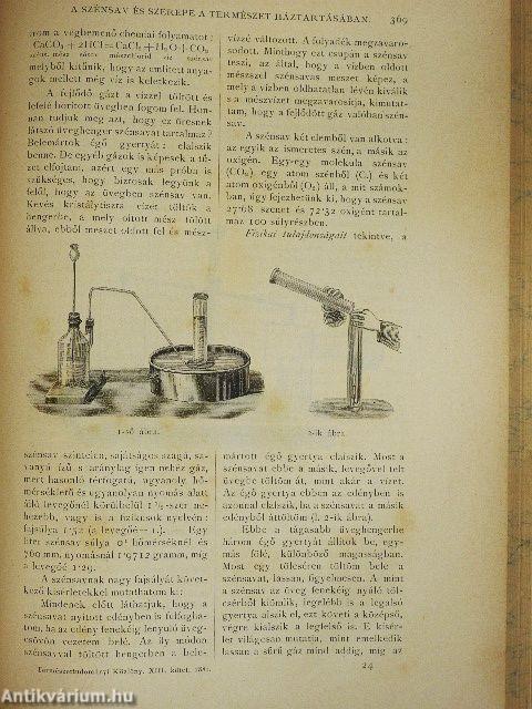 Természettudományi Közlöny 1881. január-december