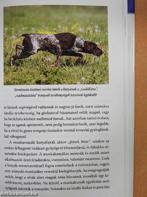 Rövid útmutató a boldog kutyához