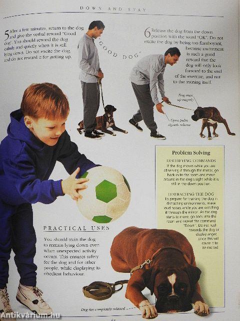 RSPCA Complete Dog Training Manual