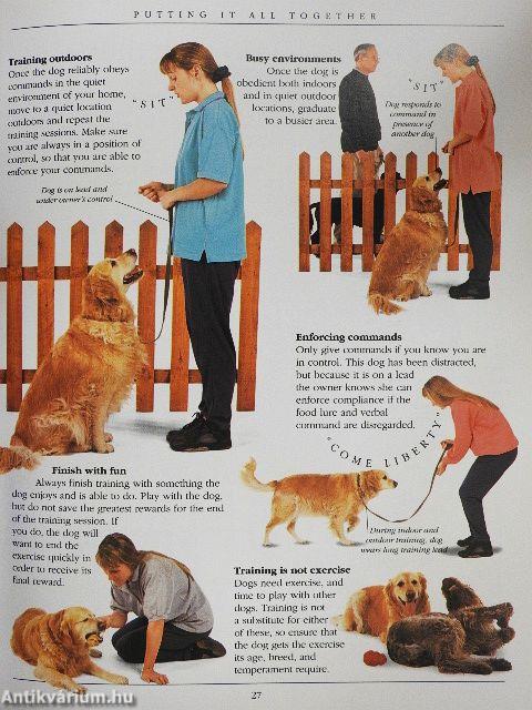 RSPCA Complete Dog Training Manual