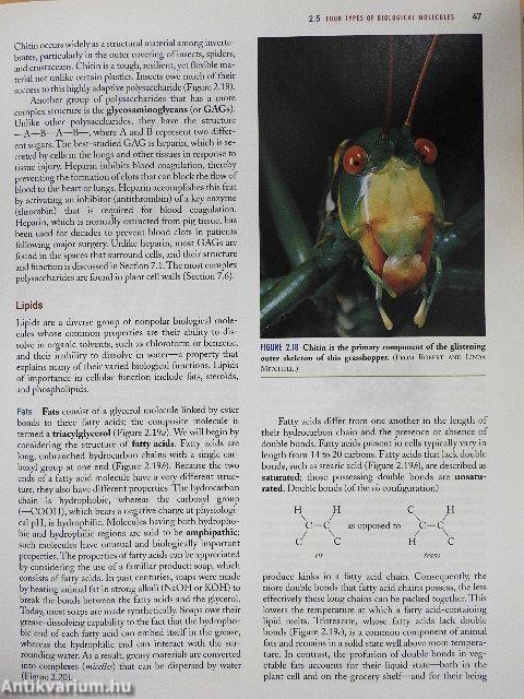 Cell and Molecular Biology