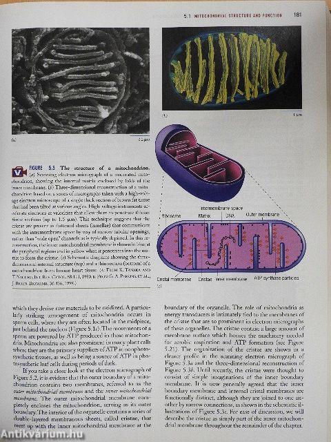 Cell and Molecular Biology