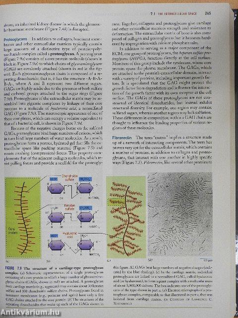 Cell and Molecular Biology