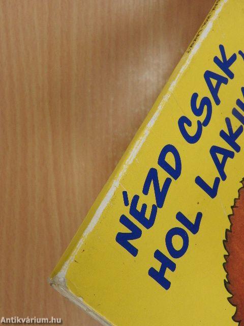 Nézd csak, hol lakik?