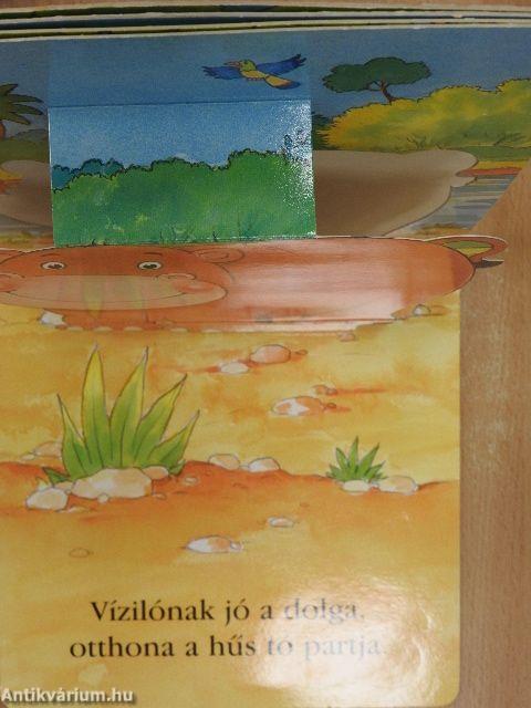 Nézd csak, hol lakik?
