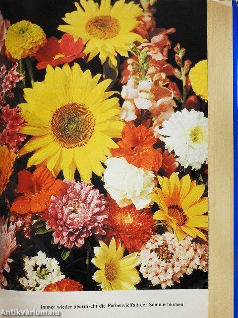 Rat für jeden Gartentag