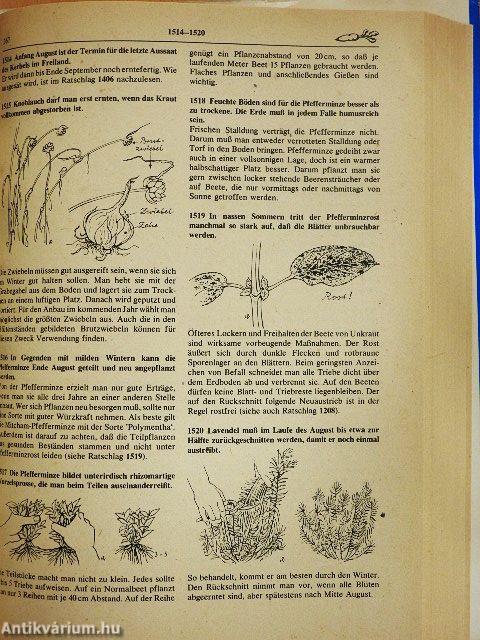 Rat für jeden Gartentag