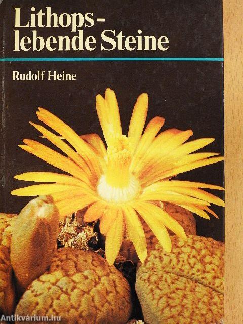 Lithops- lebende Steine