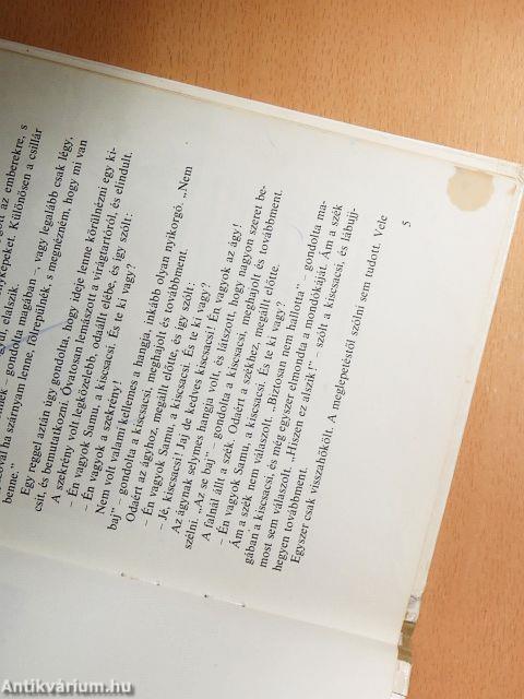 Egy kiscsacsi története