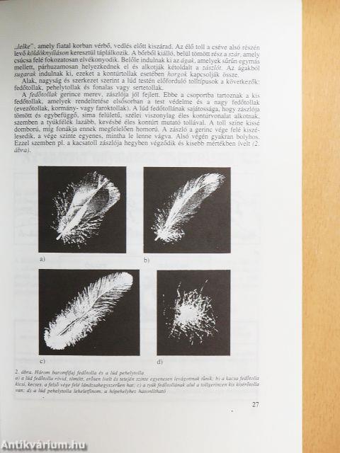 Lúdtenyésztők kézikönyve