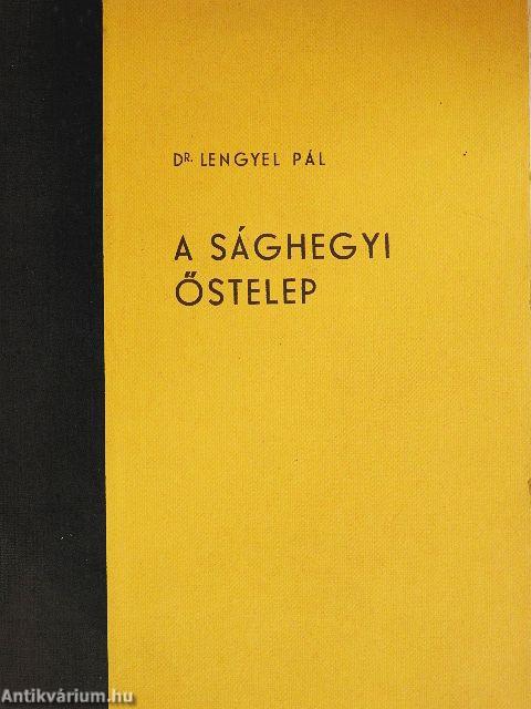 A sághegyi őstelep