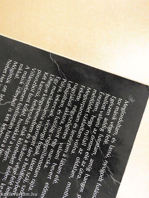 Nebet Het, a halottak úrnője